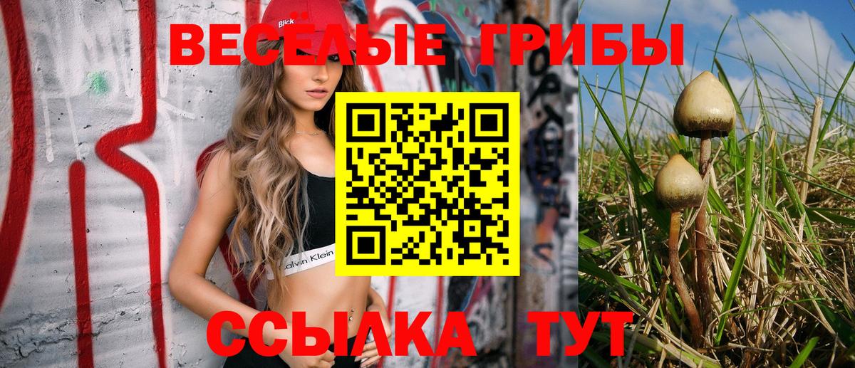 Галлюциногенные грибы мухоморы Долгопрудный