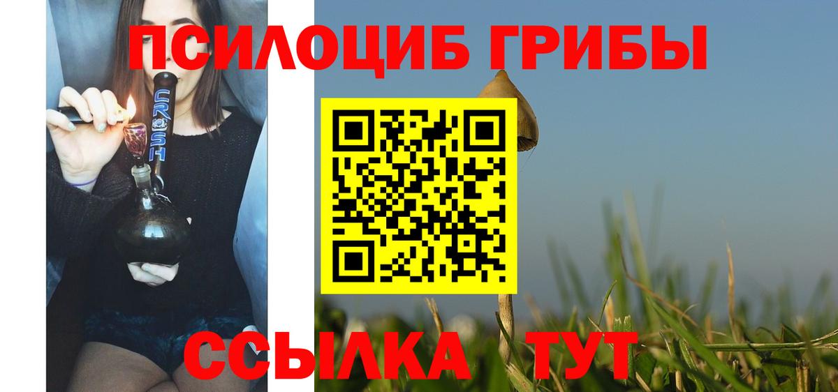 Галлюциногенные грибы MAGIC MUSHROOMS  Вход с VPN  наркошоп  Долгопрудный 